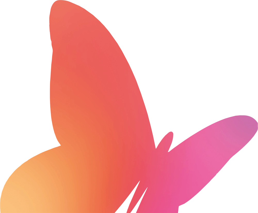 Possum butterfly