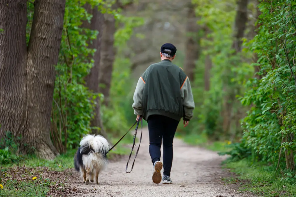 Person walking a dog in woodland while wearing shoes fitted with the SafeSole GPS tracking insole for discreet location support.