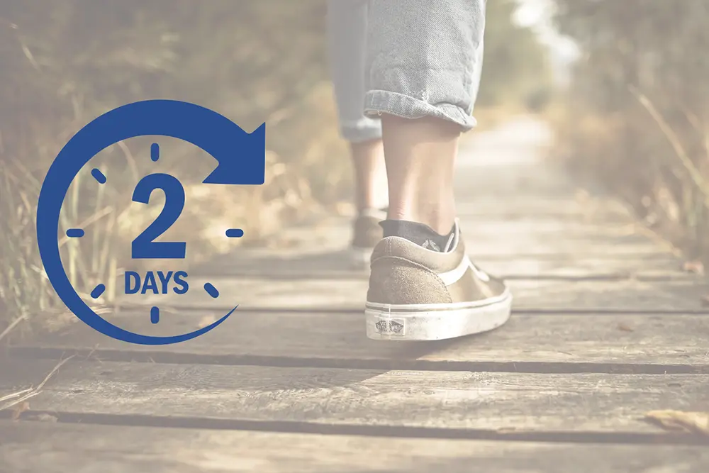 Illustration representing the SafeSole GPS tracking insole with up to 48 hours of battery life between charges.